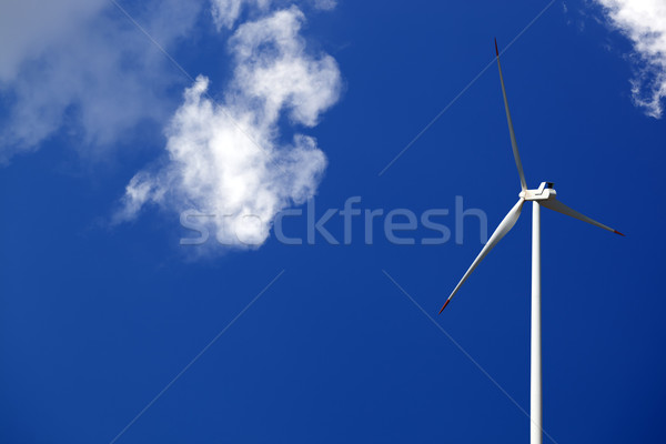 風力發電機組 藍色 陽光 天空 夏天 天 商業照片 © BSANI