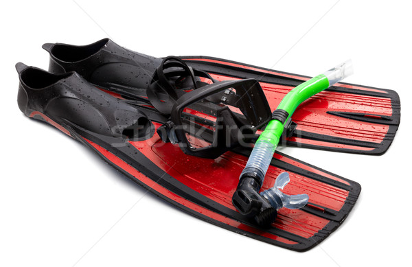 Mask, snorkel and flippers with water drops. Diving gear on whit Stock photo © BSANI