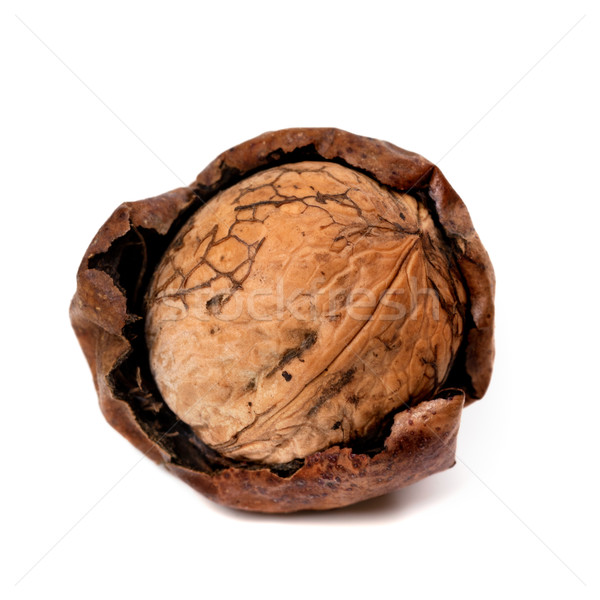 Crude walnut isolated on white background Stock photo © BSANI