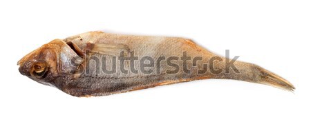 Sun-dried roach isolated on white background Stock photo © BSANI