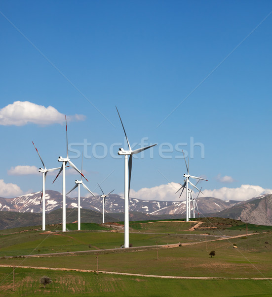 Wind farm at sun spring day Stock photo © BSANI