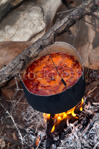 Cooking borscht (Ukrainian soup) on campfire Stock photo © BSANI