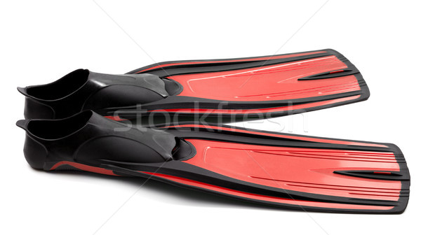 Flippers for diving on white background Stock photo © BSANI