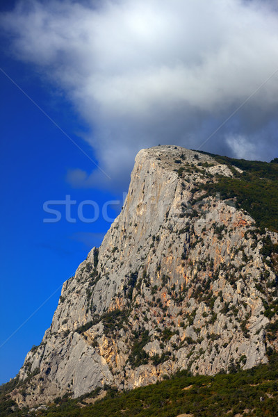 Stock fotó: Kövek · égbolt · erdő · fal · tájkép · hegy