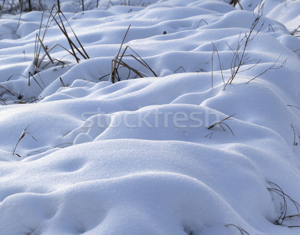 Snowdrifts after snowfall in morning Stock photo © BSANI