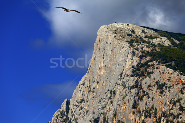 Stock photo: Summer rocks and seagull flying in blue sky