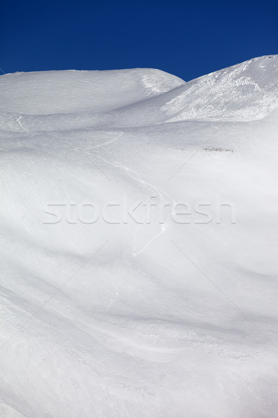Avalanche on off piste slope Stock photo © BSANI