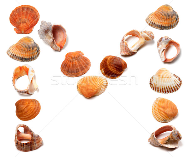 Stock photo: Letter M composed of seashells