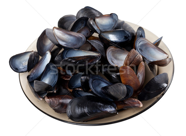 Shells of mussels on glass plate Stock photo © BSANI