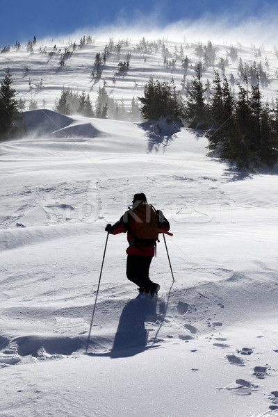 турист зима гор Солнечный ветреный день Сток-фото © BSANI