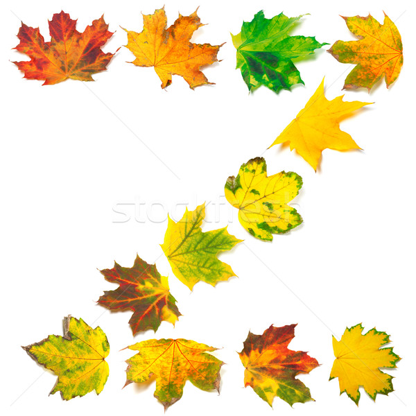 Letter Z composed of autumn maple leafs Stock photo © BSANI