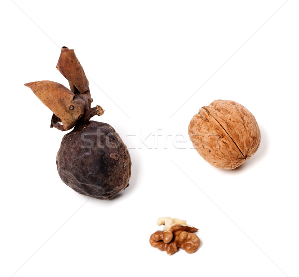 Walnuts Stock photo © BSANI