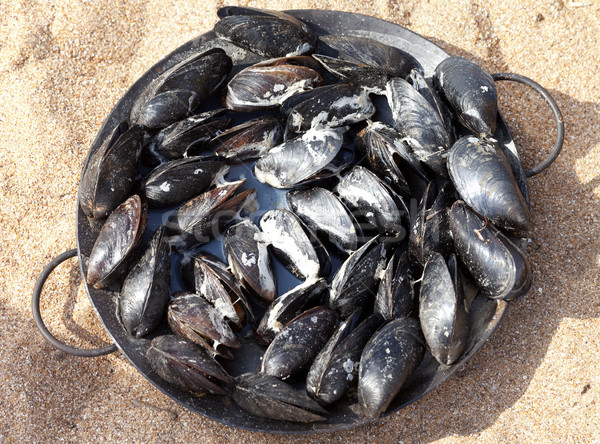 Freshly cooked mussels in metal tray on sand beach Stock photo © BSANI