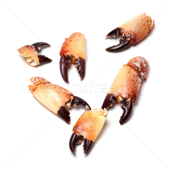 Crab izolat alb focus selectiv alimente Imagine de stoc © BSANI
