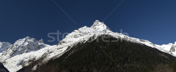 Panorama kaukaz góry region lasu krajobraz Zdjęcia stock © BSANI