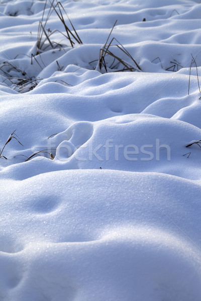 Snow drifts in snowbound winter meadow  Stock photo © BSANI