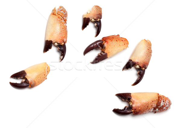 Cooked pincers from crab Stock photo © BSANI