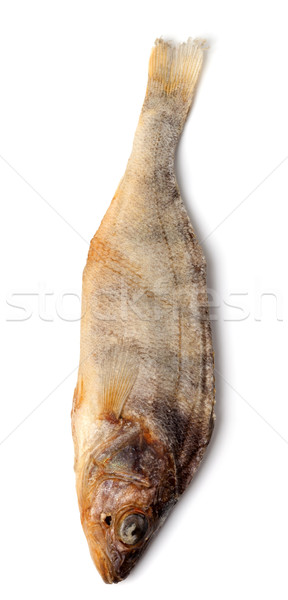 Stockfish isolated on white background Stock photo © BSANI