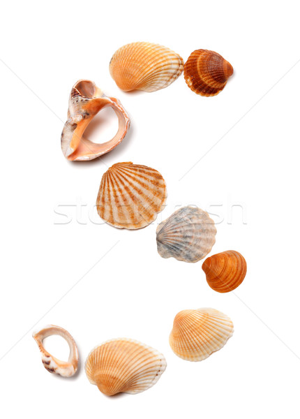 Letter S composed of seashells Stock photo © BSANI