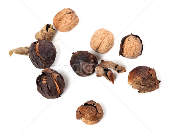 Crude walnuts Stock photo © BSANI