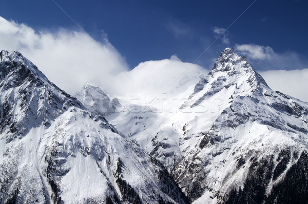 山 雲 高加索 景觀 冬天 藍色 商業照片 © BSANI