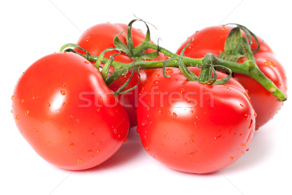 Bunch of ripe tomato with water drops Stock photo © BSANI