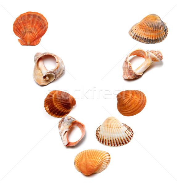 Letter V composed of seashells Stock photo © BSANI