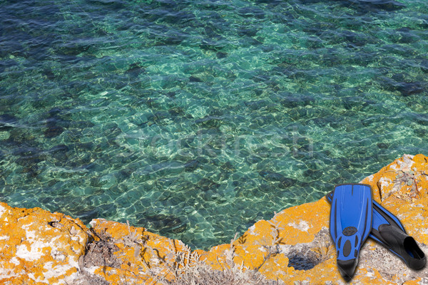 Blue flippers on the cliff of sea Stock photo © BSANI