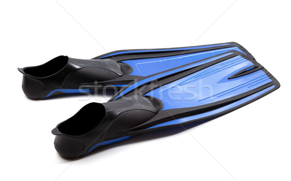 Blue swim fins Stock photo © BSANI