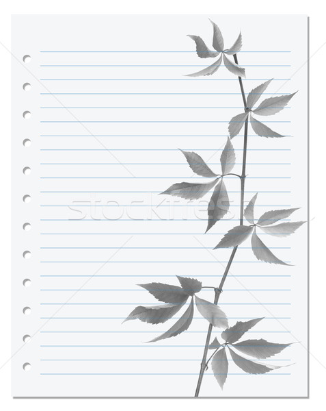 Exercise book with black-white virginia creeper twig Stock photo © BSANI