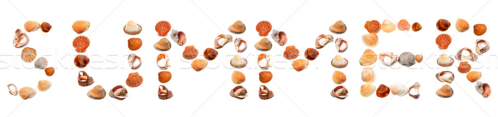 S U M M E R text composed of seashells Stock photo © BSANI