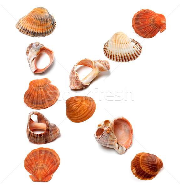 Letter K composed of seashells Stock photo © BSANI
