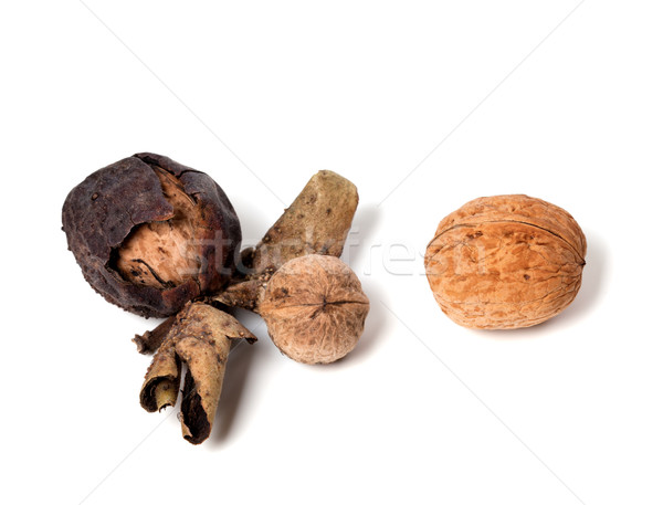 Three walnuts on white background Stock photo © BSANI