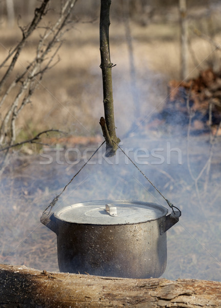 Gătit cazan foc de tabara primăvară pădure incendiu Imagine de stoc © BSANI