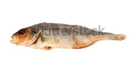 5,100+ Stockfish Stock Photos, Pictures & Royalty-Free Images