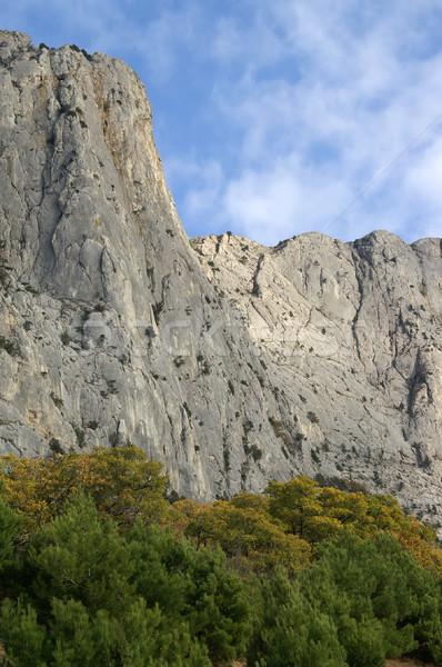 岩 森林 性質 山 岩 攀登 商業照片 © BSANI