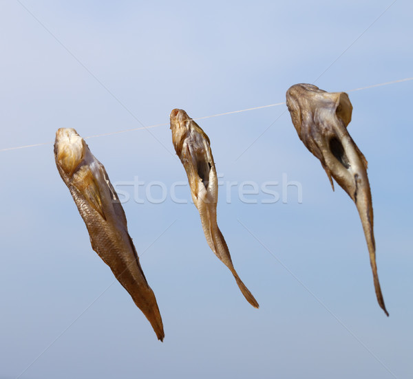 Three gobies fish drying on sun Stock photo © BSANI