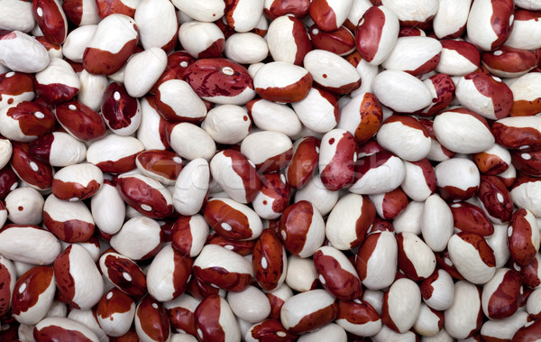 Haricot beans background Stock photo © BSANI