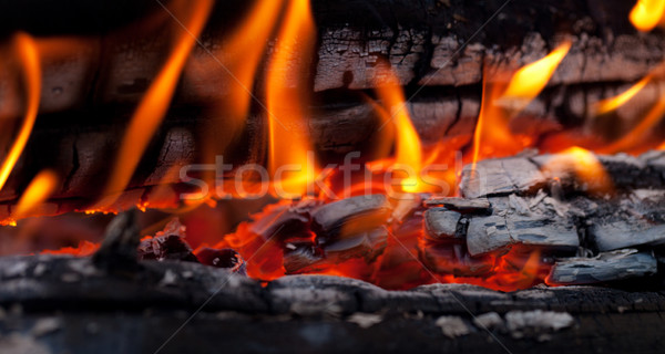 Bonfire close-up view Stock photo © BSANI