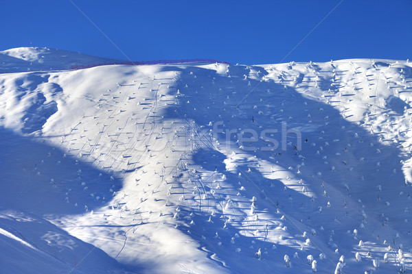 Off-piste slope with little fir after snowfall at early morning Stock photo © BSANI