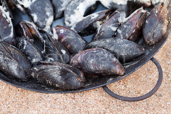 Freshly cooked mussels in metal tray on sand beach  Stock photo © BSANI