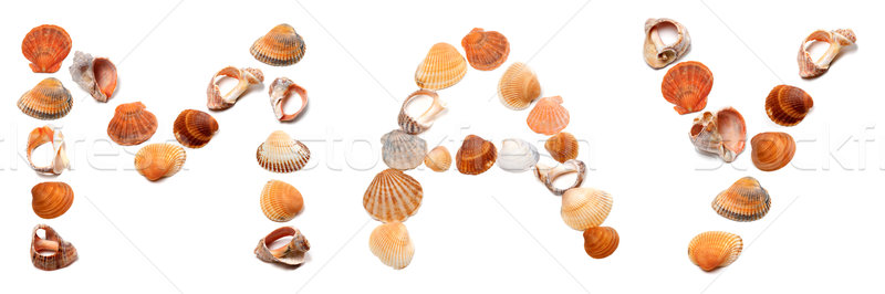 M A Y text composed of seashells Stock photo © BSANI
