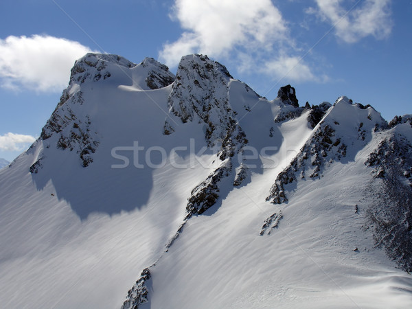 Snow ridge Stock photo © BSANI