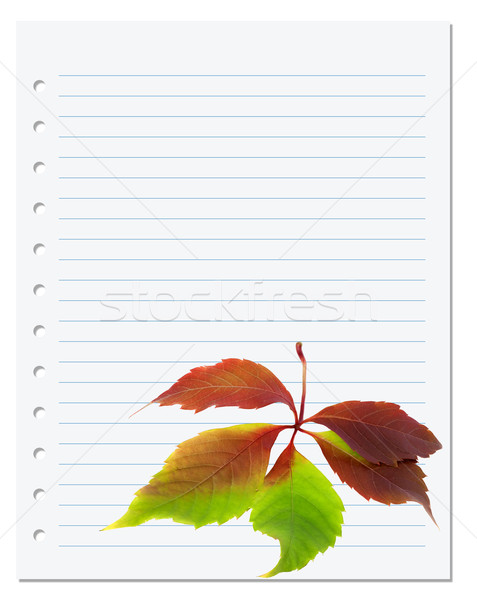 Exercise book with multicolor virginia creeper leaf Stock photo © BSANI