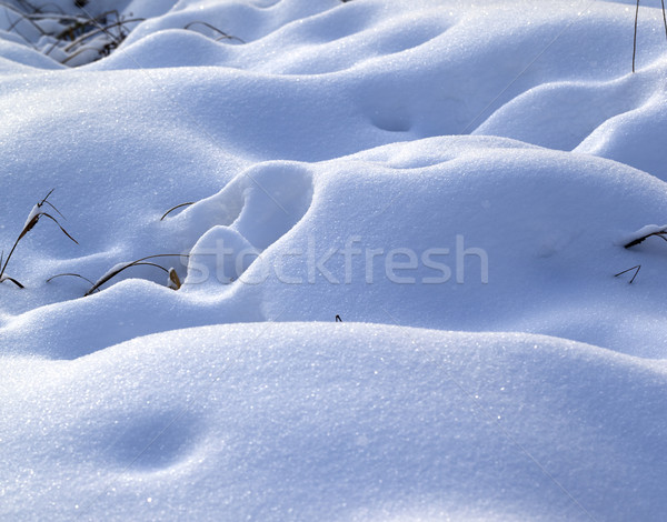 Snow drifts in snowbound winter meadow  Stock photo © BSANI