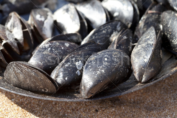 Taze pişmiş Metal tepsi kum plaj Stok fotoğraf © BSANI