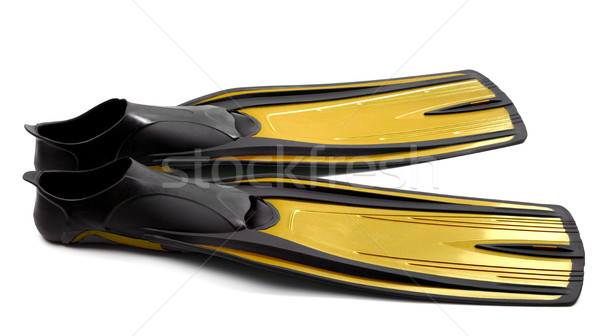 Stock photo: Flippers for diving on white background