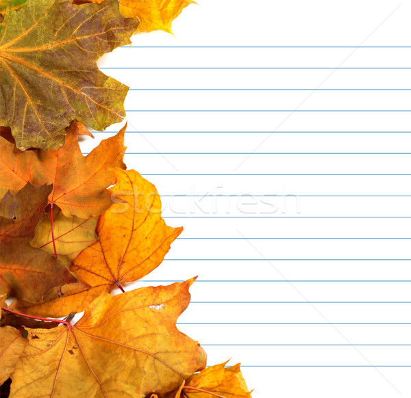 Autumn maple-leafs and notebook paper Stock photo © BSANI