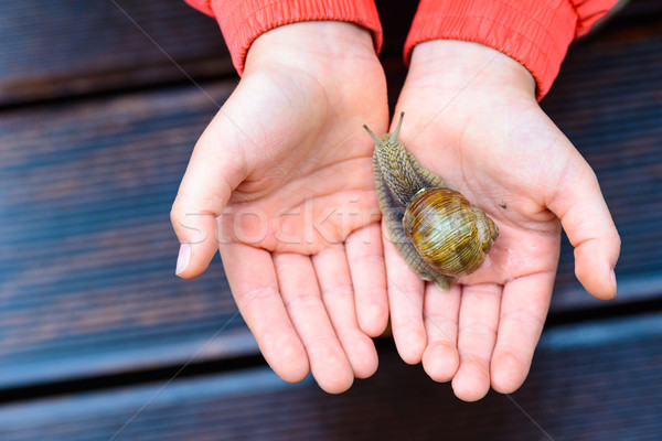Stock photo: Snail on child hand on the brown terrace background