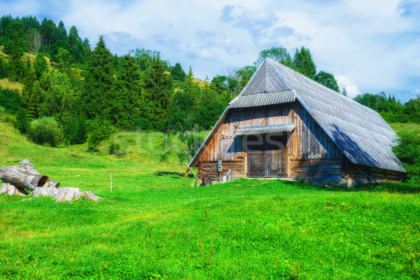 Stock foto: Alten · Holz · Scheune · Bereich · Berge · Bäume